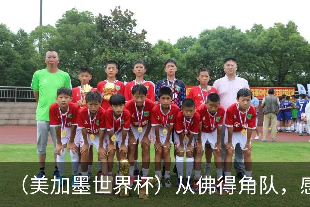 （美加墨世界杯）从佛得角队，感受足球的动人